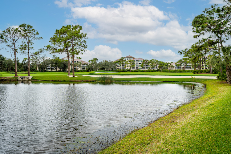 Bonita Bay Real Estate