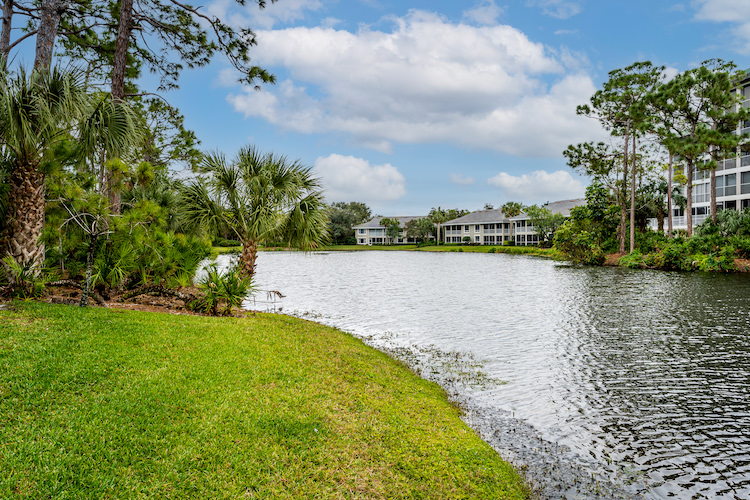 Bonita Bay Real Estate