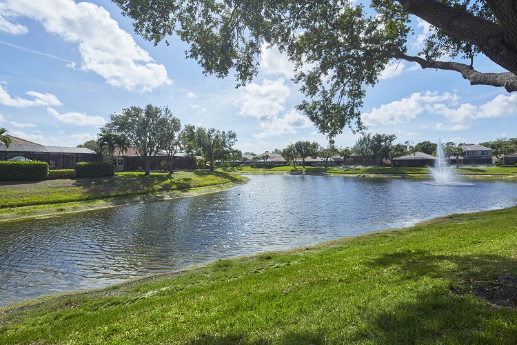 Rookery Pointe Estero