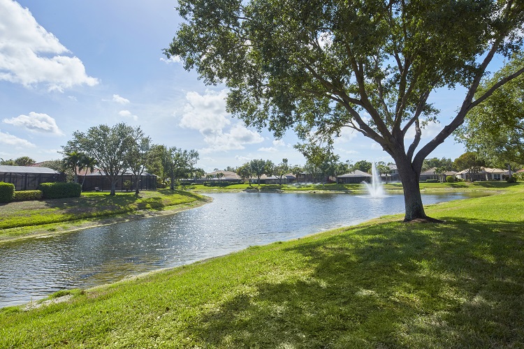 Rookery Pointe Estero