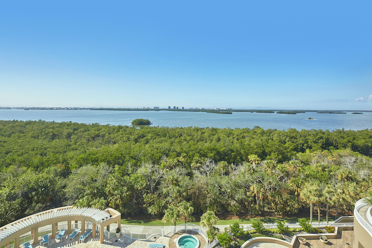 Bonita Bay Real Estate