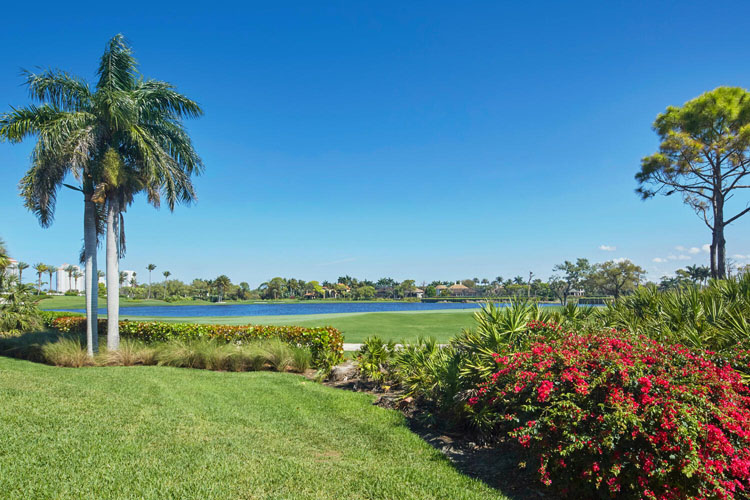 Bonita Bay Real Estate